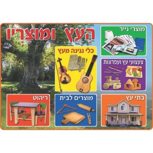 פלקט למינציה העץ ומוצריו