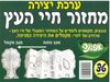 36 ערכת  יצירה מחזור חיי העץ/אפונה