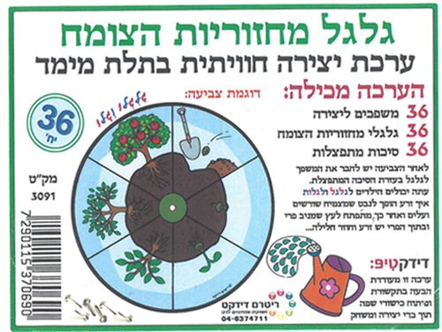 36 יצירה גלגל מחזוריות הצומח