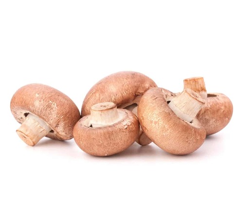 פטריות שמפיניון יבשות