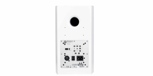 System Audio Legend 5.2 silverback back