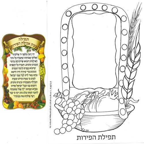 יצירה תפילת הפירות לט