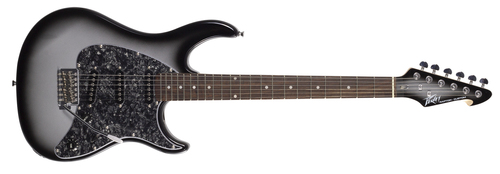 גיטרה חשמלית Peavey Raptor Custom Silverburst