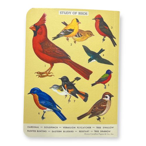 מחברת מיני : Bird Watching (משבצות)