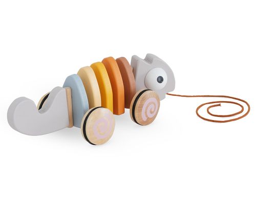 משחק מעודד זחילה משוך ת'זיקית מעץ