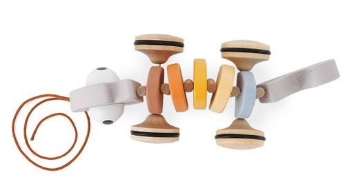 משחק מעודד זחילה משוך ת'זיקית מעץ