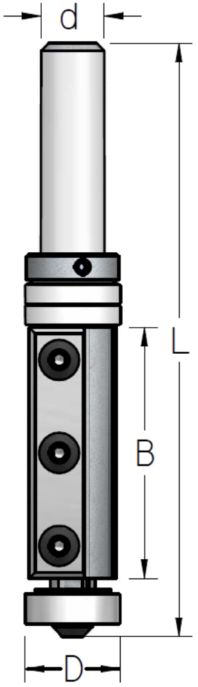 רוטר שימות מתחלפות עם מיסב כפול 19x50x118 Z=2 קנה "1/2 WPW
