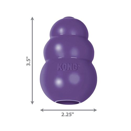 קונג סניור KONG M