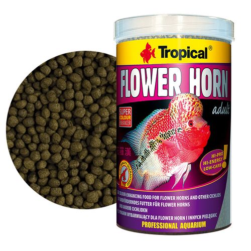 טרופיקל פלוואר הורן לדגי פלאוור Tropical Flower Horn במשקל 380 גרם