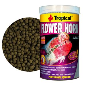 טרופיקל פלוואר הורן לדגי פלאוור Tropical Flower Horn במשקל 380 גרם