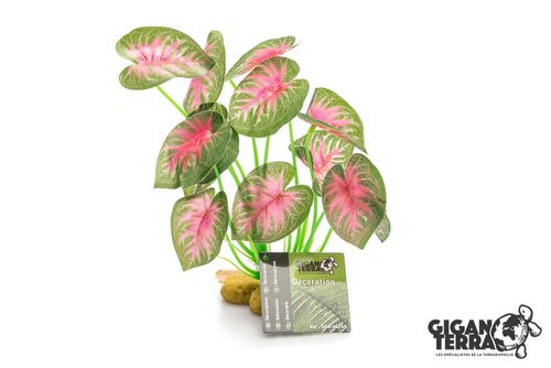 צמח דקורציה עומד לטרריום G04-00243 Gigan Terra