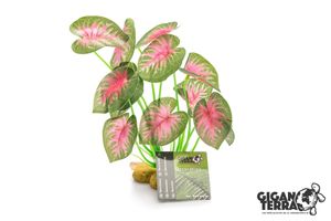 צמח דקורציה עומד לטרריום G04-00243 Gigan Terra