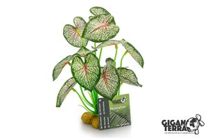 צמח דקורציה עומד לטרריום G04-00241 Gigan Terra