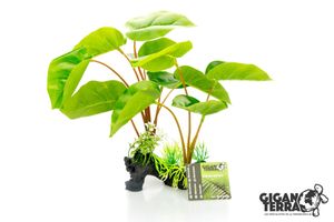 צמח דקורציה עומד לטרריום G04-00232 Gigan Terra