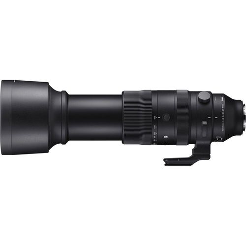 עדשה Sigma 60-600mm f/4.5-6.3 DG DN OS Sports for Sony E רשמי