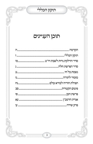 תיקון הכללי בינוני בכריכה רכה
