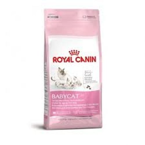 רויאל קנין גורי חתול בייביקט מזון לחתול Royal Canin במשקל 4 ק