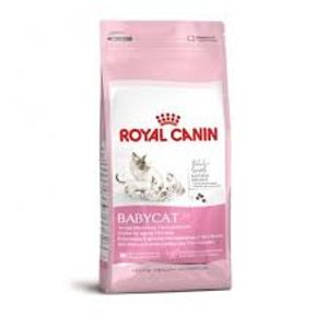 רויאל קנין גורי חתול בייביקט מזון לחתול Royal Canin במשקל 4 ק"ג