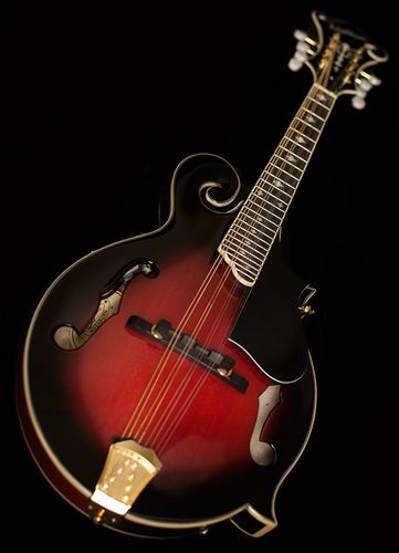 זוית נוספת Washburn Americana M3SWE Mandolin