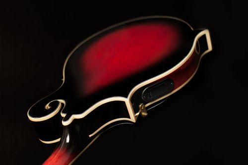 זוית נוספת Washburn Americana M3SWE Mandolin