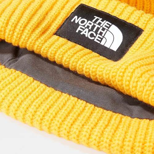 כובע חורף THE NORTH FACE SALTY DOG LINED BEANIE