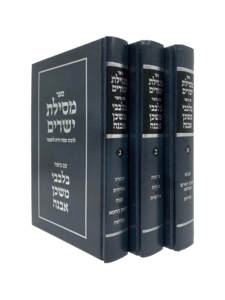מסילת ישרים - עם פירוש בלבבי משכן אבנה - ג