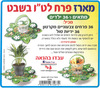 יצירה מארז בצורת פרח לט''ו בשבט