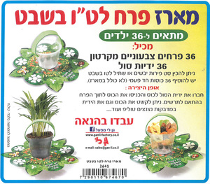 יצירה מארז בצורת פרח לט