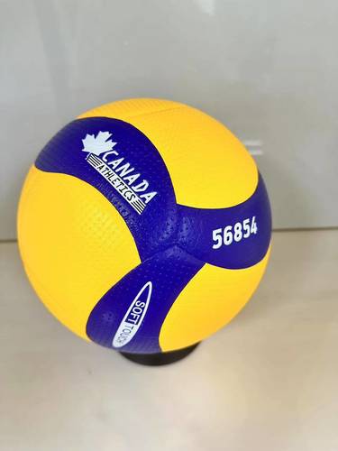 כדורעף מקצועי CANADA 5000