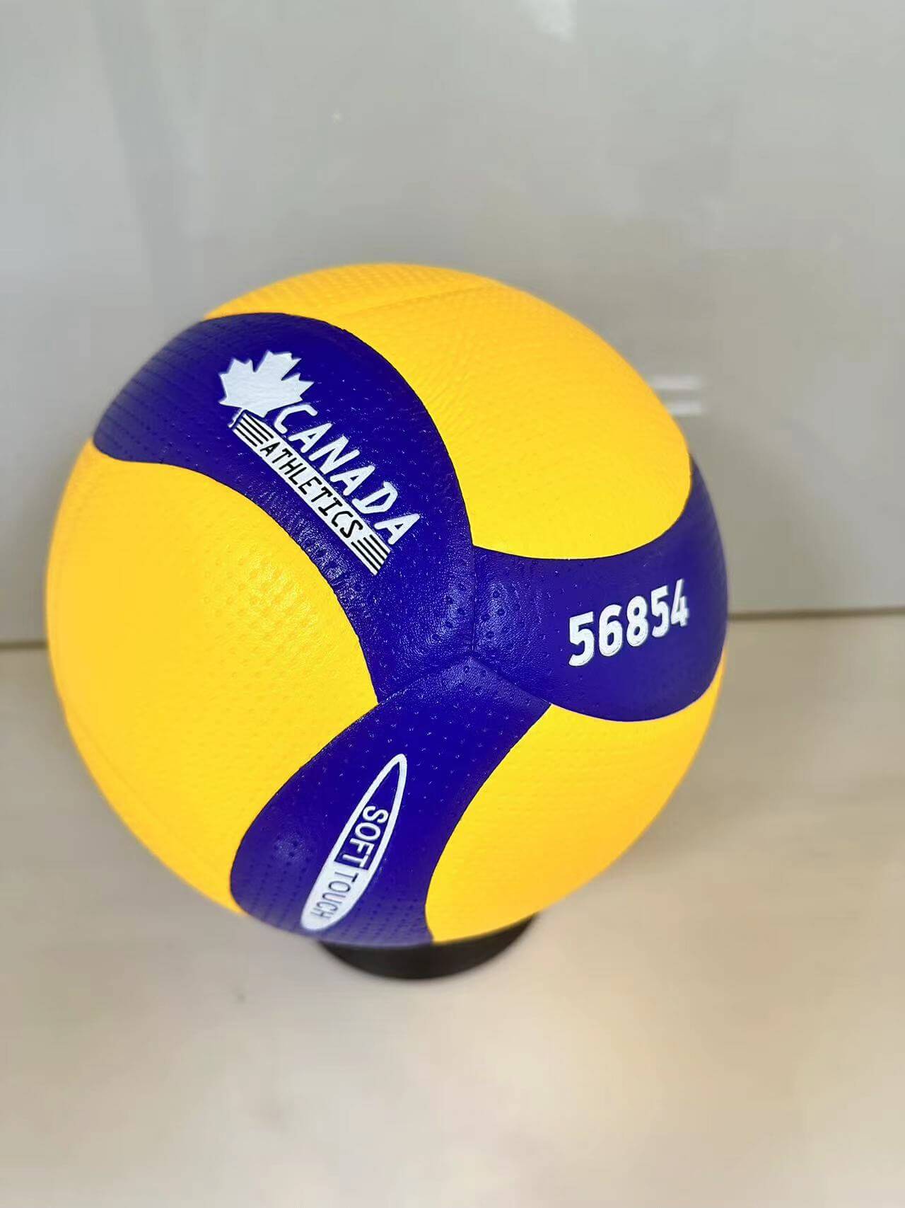 כדורעף מקצועי CANADA 5000