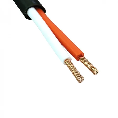 כבל רמקול Canare 2S11F 2x4mm² שחור