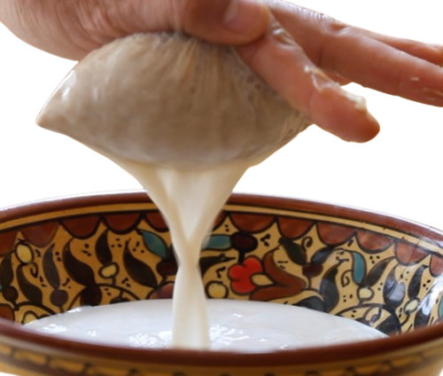 שקית סינון