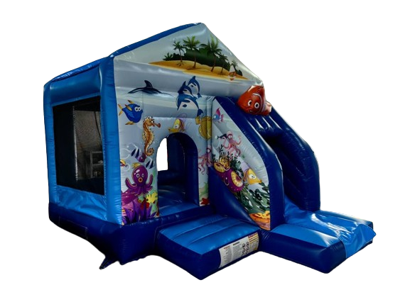 עולם הים קטנטנים