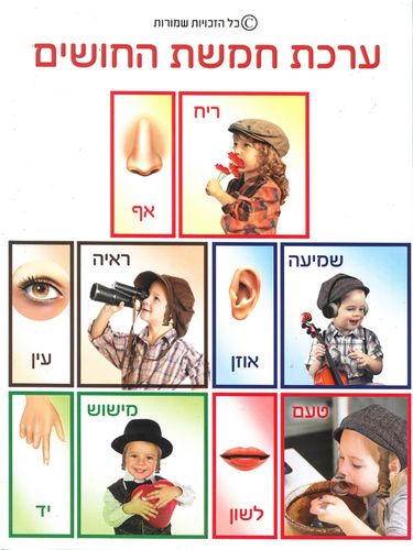 ערכת תמונות חמשת החושים בנים/ ש.ה.