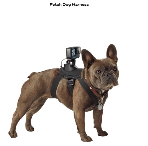 רצועת כלב Gopro Fetch dog harness
