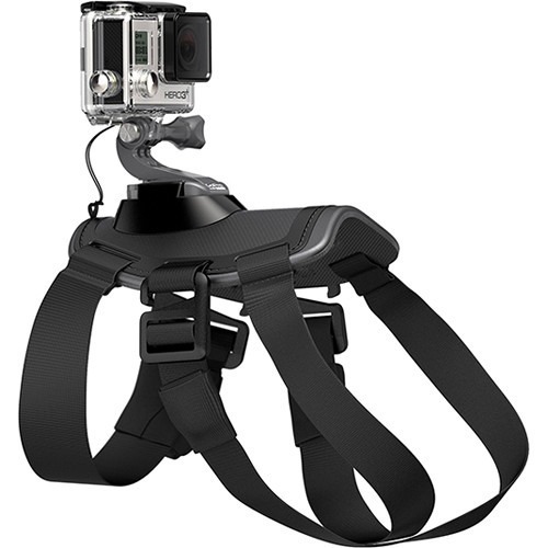 רצועת כלב Gopro Fetch dog harness