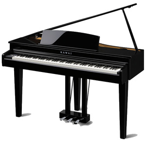  פסנתר כנף חשמלי שחור Kawai DG30 