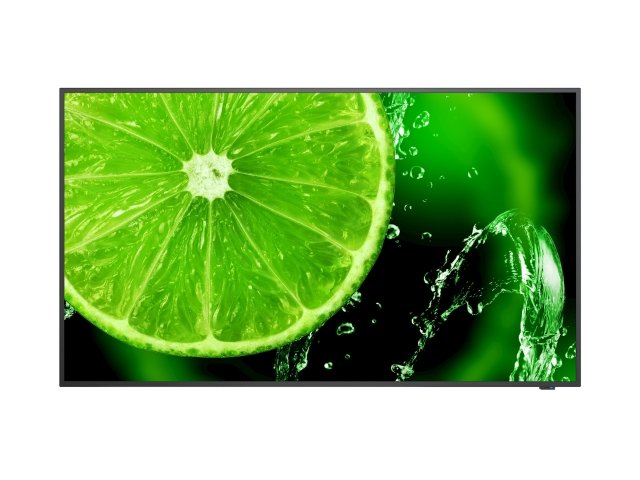 מסך מקצועי 49" NEC E498 4K