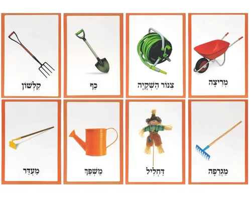 ערכת תמונות - גינה