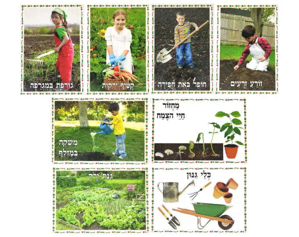 ערכת תמונות בנושא גינה