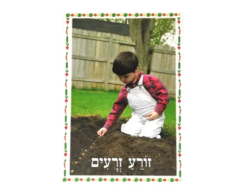 ערכת תמונות בנושא גינה - זורע זרעים