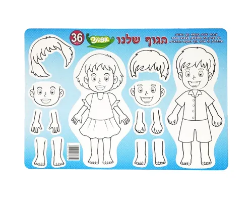 ערכת יצירה ולימוד - הגוף שלנו - 36 יח'