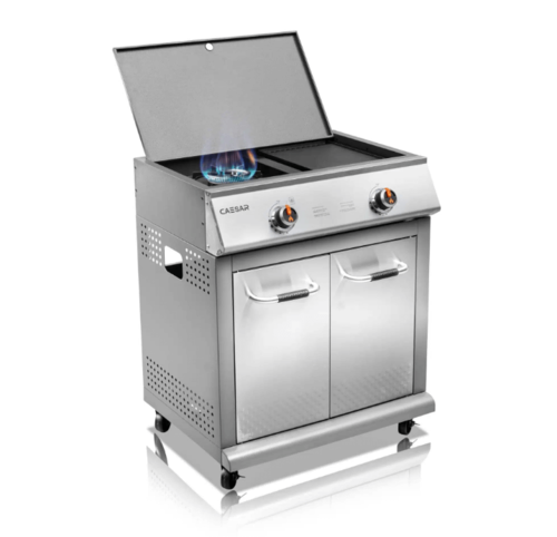 יחידת סיזר רוביקון לפאלנצה וכירה