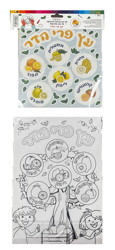 חוברת פעילות ט