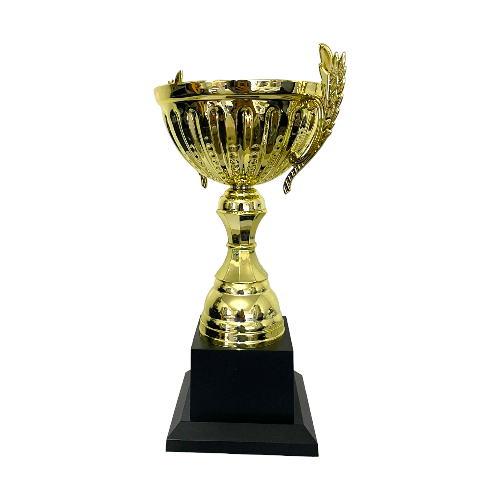 גביע נצחון כללי בינוני - 30 ס