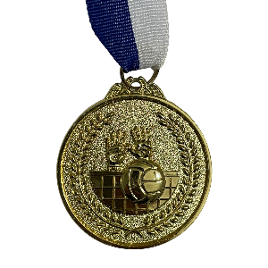מדלית כדורעף/כדורשת מקום 1 (זהב)