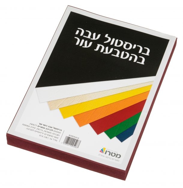 בריסטול דמוי עור A4 בורדו