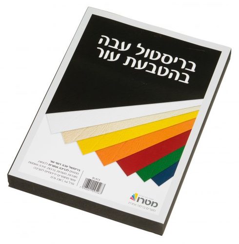 בריסטול דמוי עור A4 שחור