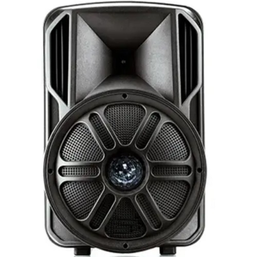 בידורית ניידת כולל 2 מיקרופונים אלחוטיים RichTech ריצ'טק RT12PRO