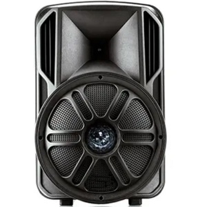בידורית ניידת כולל 2 מיקרופונים אלחוטיים RichTech ריצ